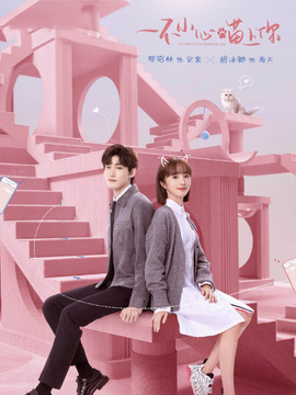 一不小心喵上你