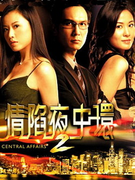 情陷夜中環(huán)2